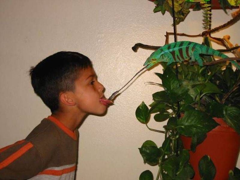 Gewoon een verzameling hilarische foto’s #873