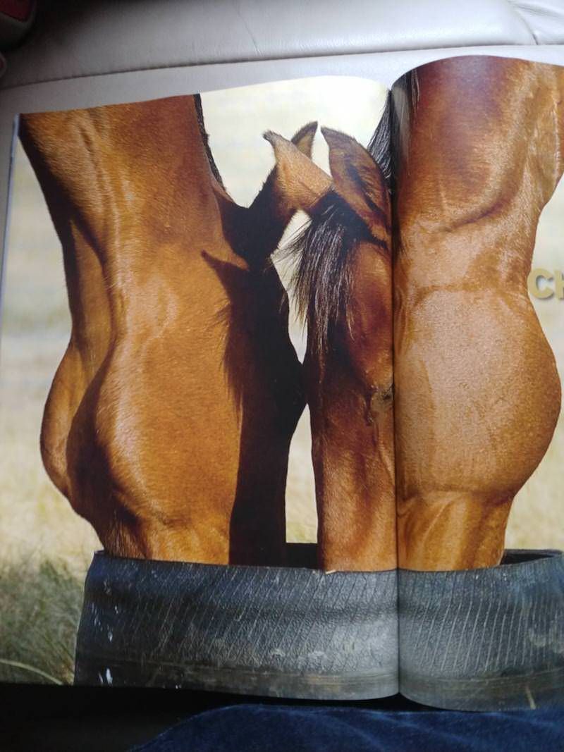 Gewoon een verzameling hilarische foto’s #949