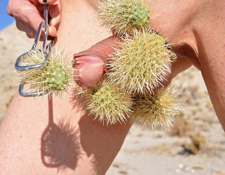 Gewoon een verzameling hilarische foto’s #880