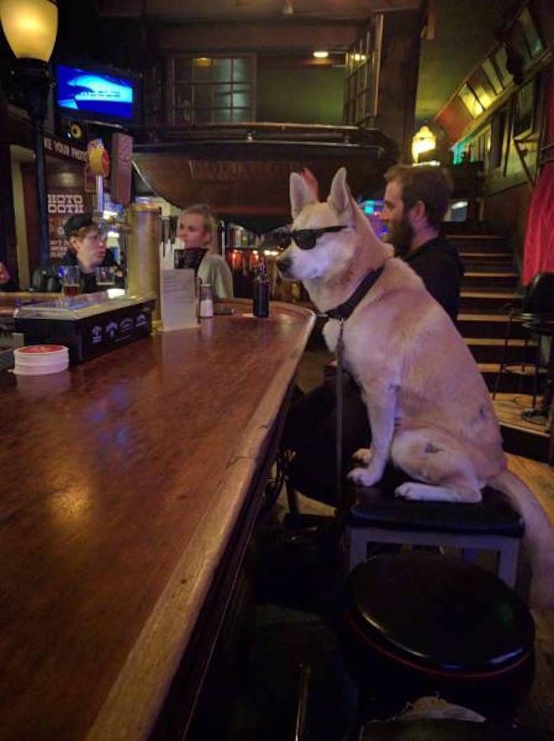 Gewoon een verzameling hilarische foto's #746