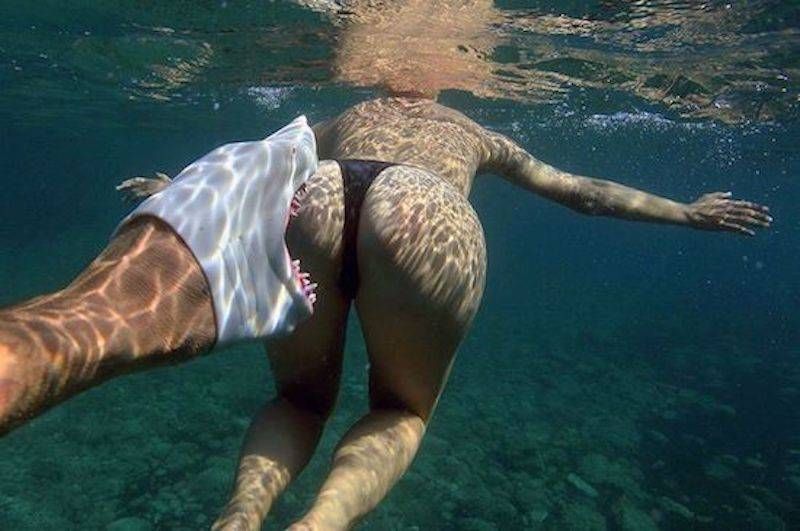Gewoon een verzameling hilarische foto’s #873