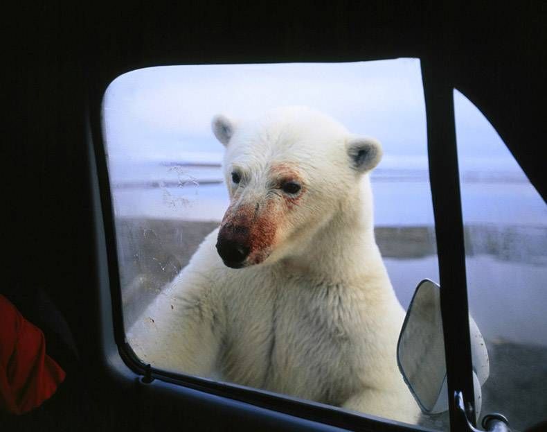 Gewoon een verzameling hilarische foto's #979