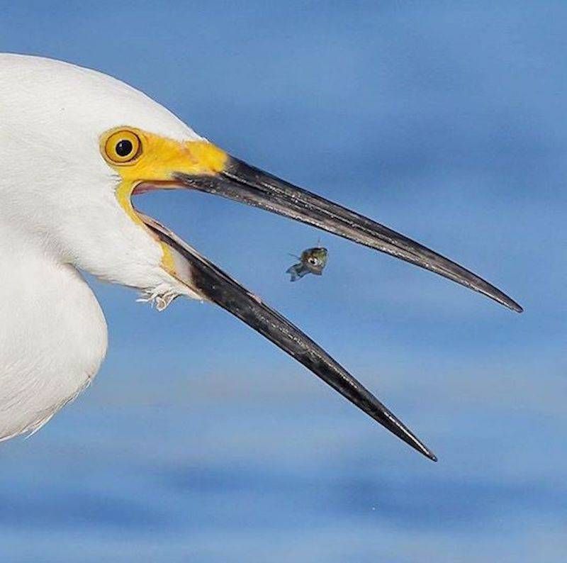 Gewoon een verzameling hilarische foto’s #873