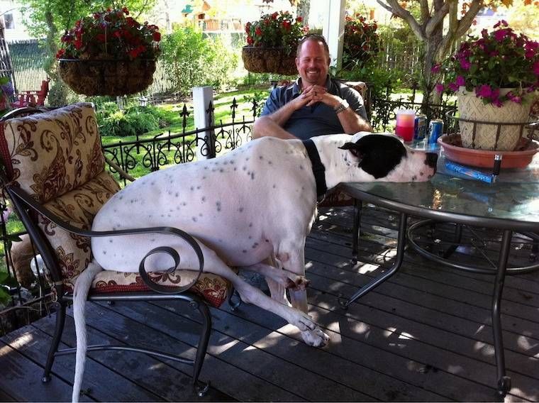 Gewoon een verzameling hilarische foto’s #1250