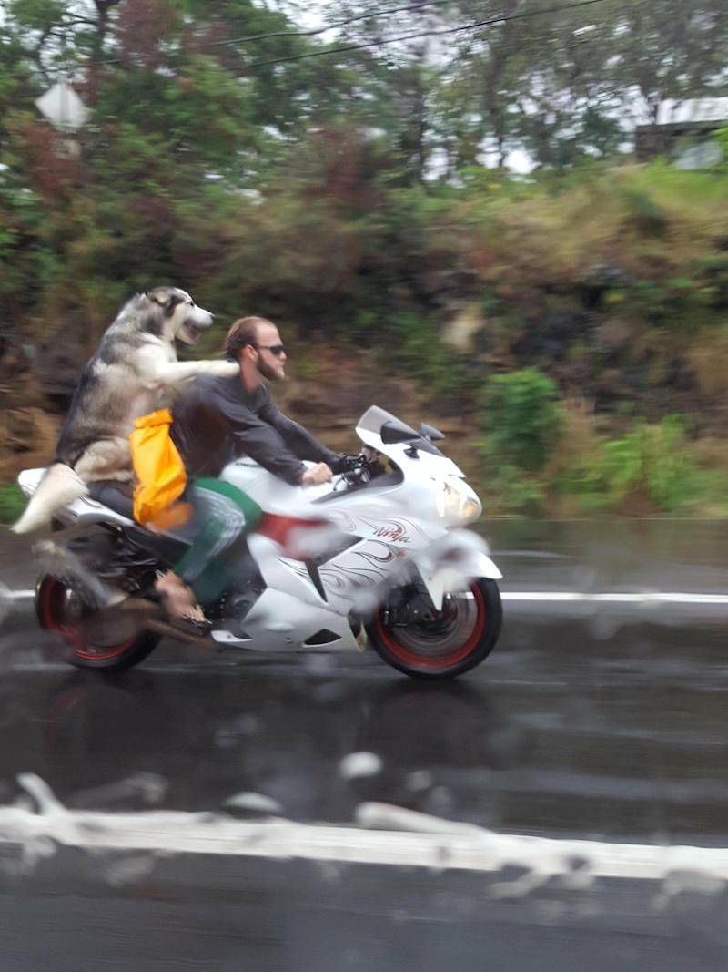 Gewoon een verzameling hilarische foto’s #949