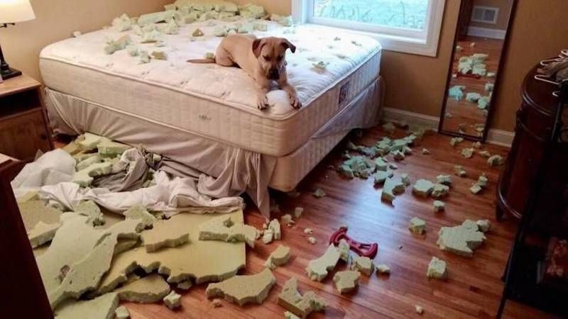 Gewoon een verzameling hilarische foto’s #1107