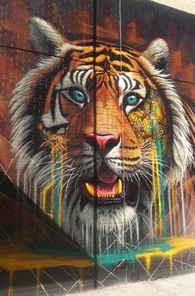 Тигр граффити
