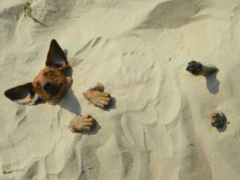 Gewoon een verzameling hilarische foto’s #907