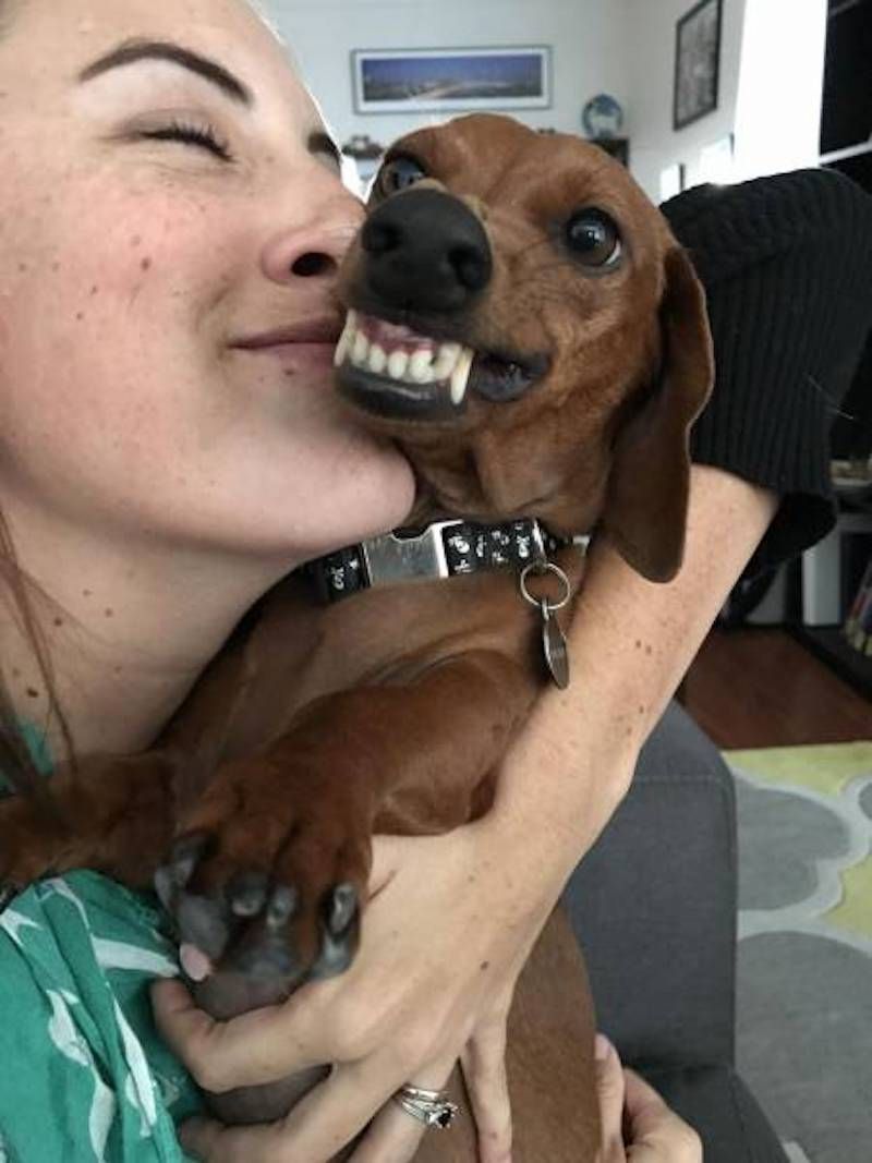 Gewoon een verzameling hilarische foto’s #793