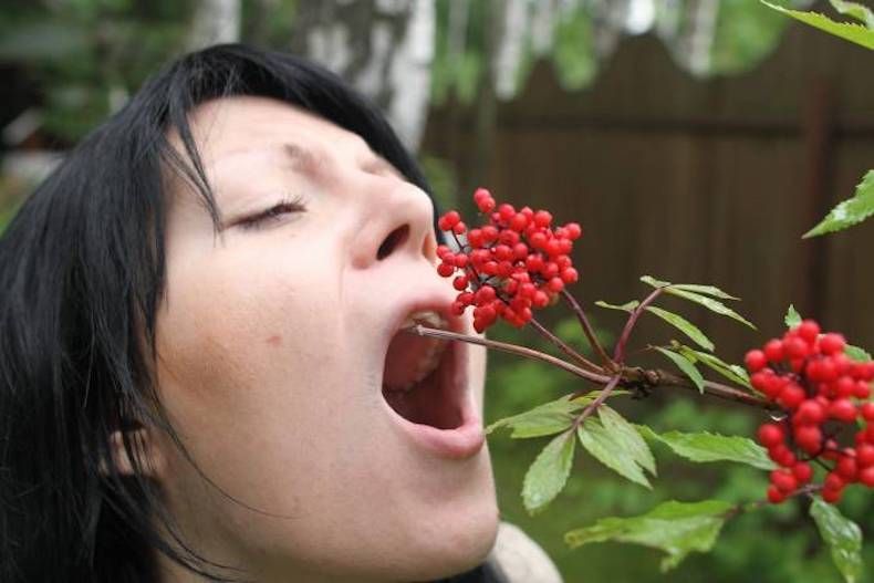 Gewoon een verzameling hilarische foto's #740