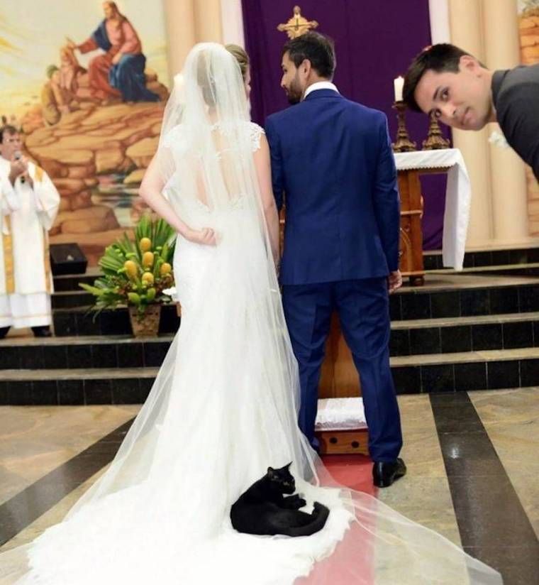 Gewoon een verzameling hilarische foto’s #1250