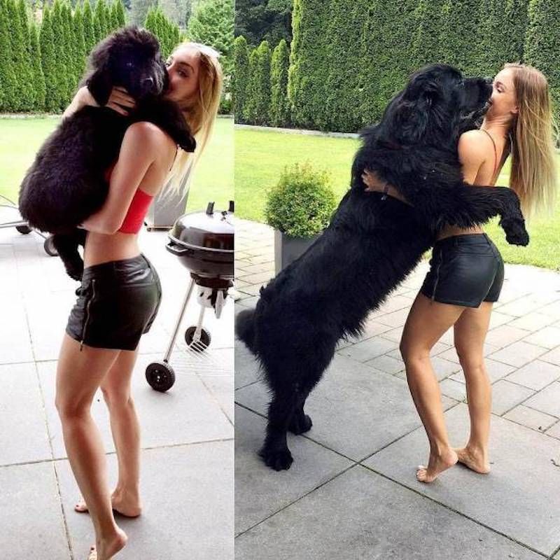Gewoon een verzameling hilarische foto’s #951