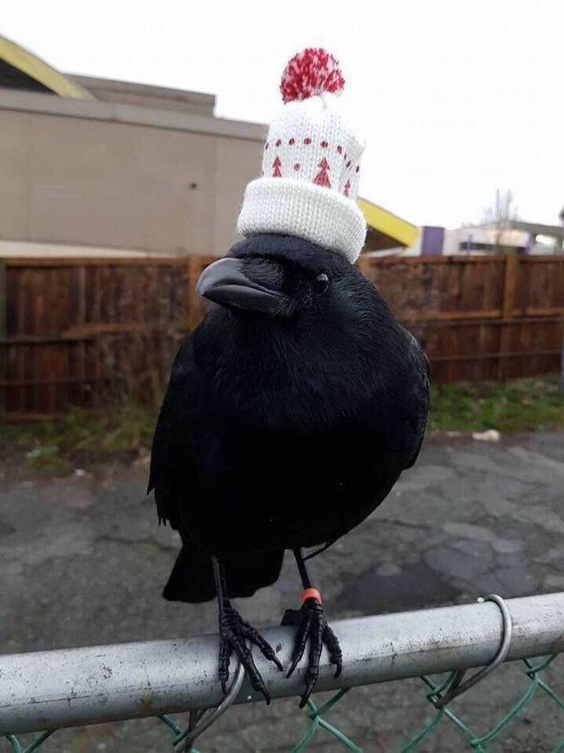 Gewoon een verzameling hilarische foto’s #1107