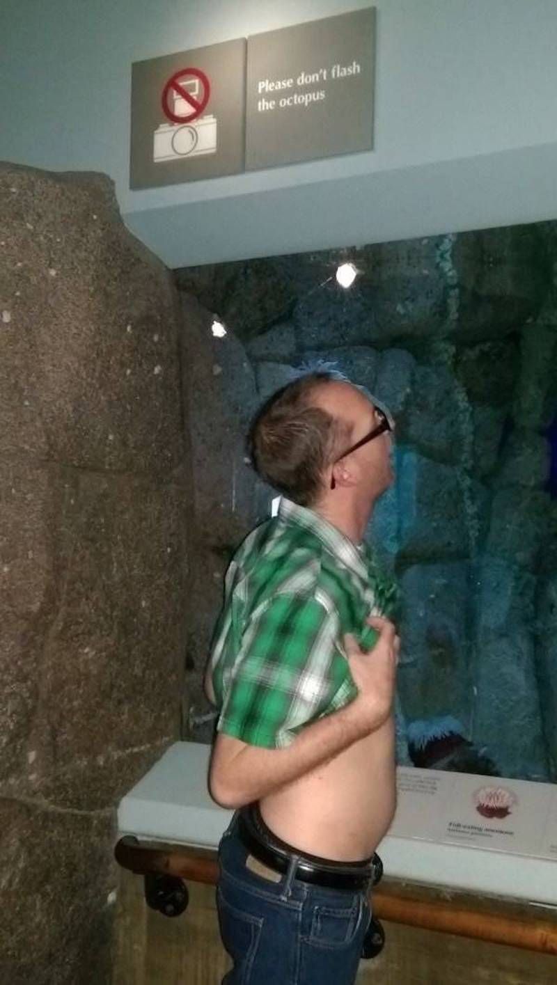 Gewoon een verzameling hilarische foto’s #949