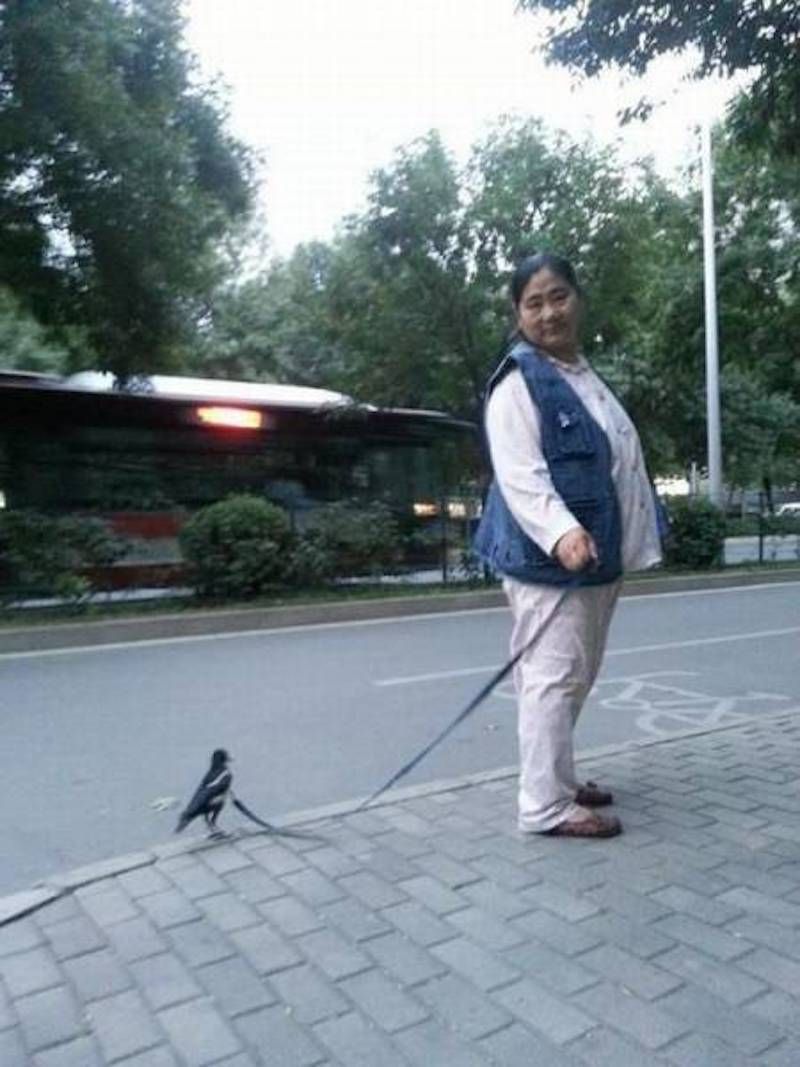 Gewoon een verzameling hilarische foto’s #800