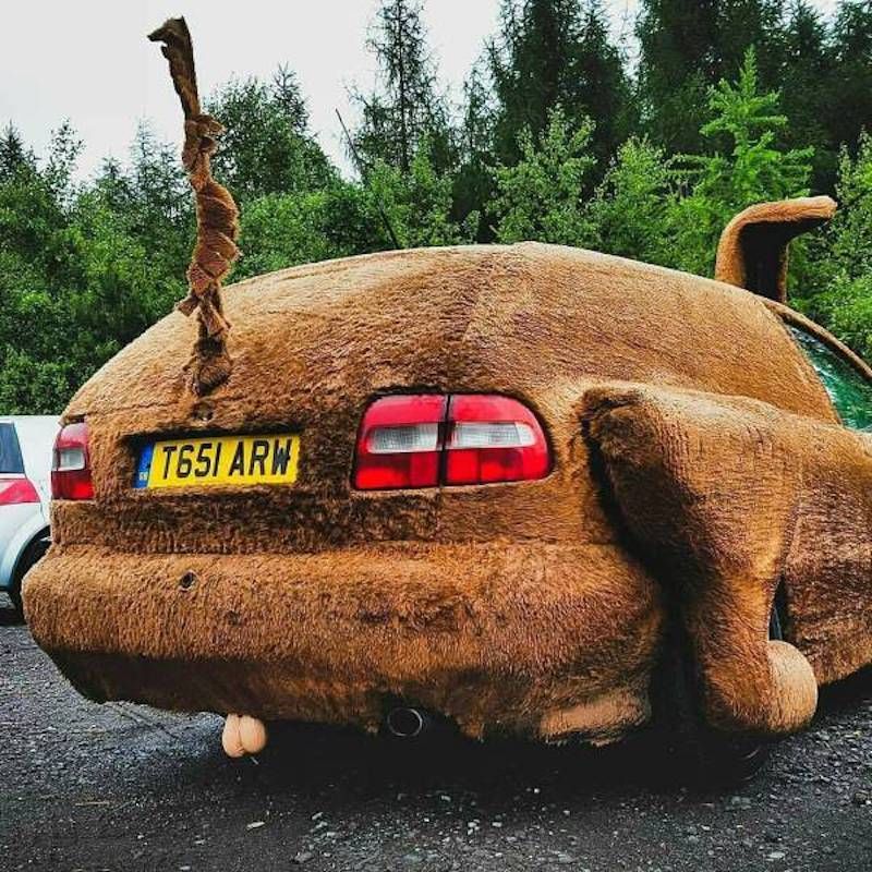 Gewoon een verzameling hilarische foto’s #873