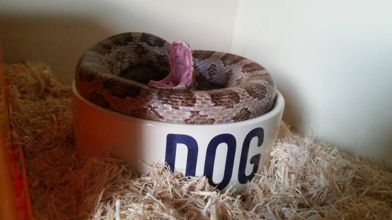 Gewoon een verzameling hilarische foto’s #1109