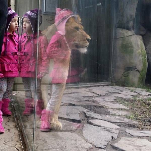 Gewoon een verzameling hilarische foto's #744