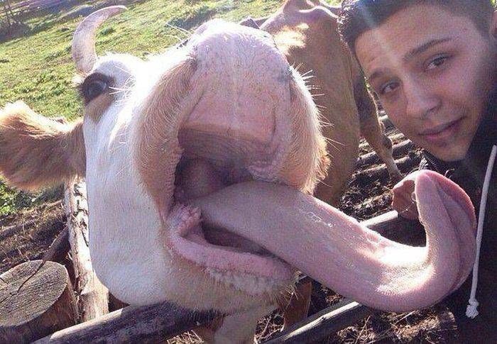 Gewoon een verzameling hilarische foto's #744