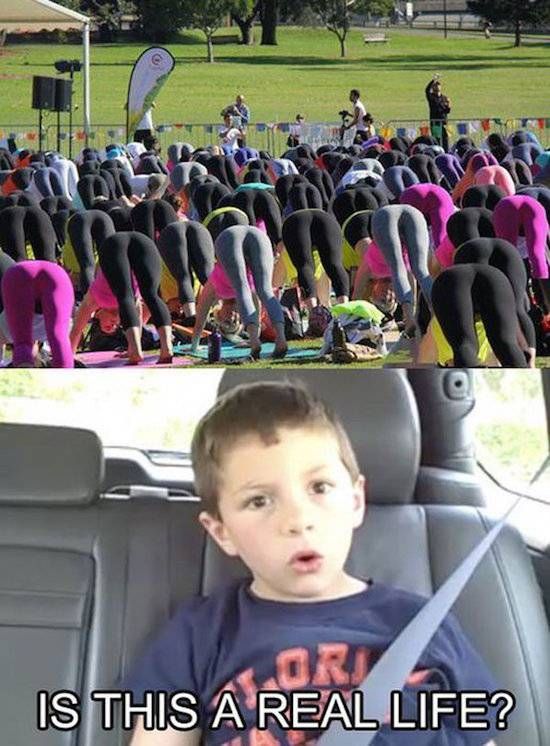 Gewoon een verzameling hilarische foto's #744