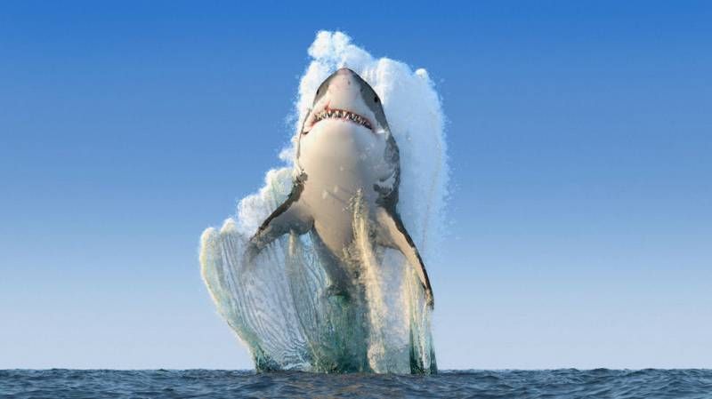 Gewoon een verzameling hilarische foto's #744