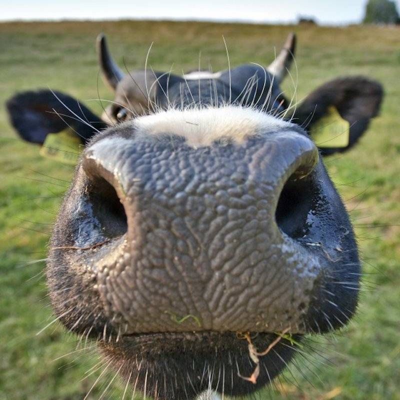Gewoon een verzameling hilarische foto’s #947