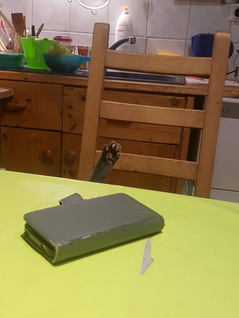 Gewoon een verzameling hilarische foto’s #1108