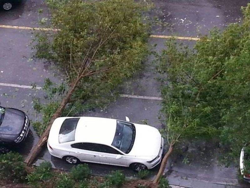 Gewoon een verzameling hilarische foto’s #950