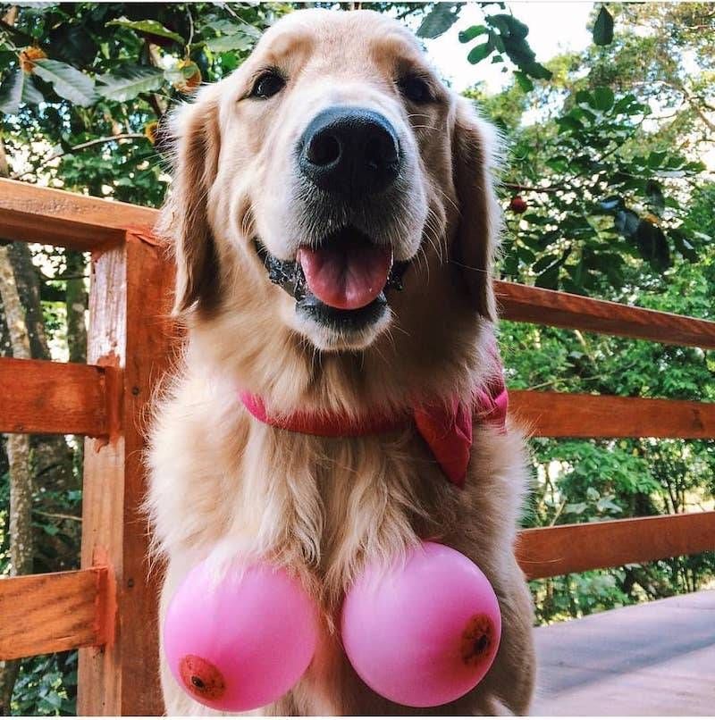 Gewoon een verzameling hilarische foto’s #1044