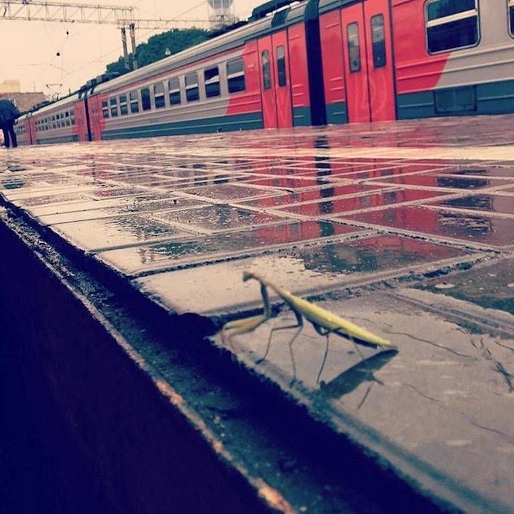 Gewoon een verzameling hilarische foto's #705