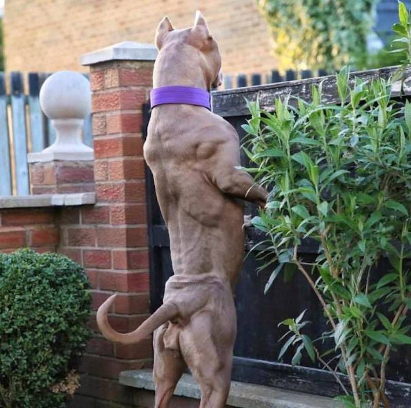 Gewoon een verzameling hilarische foto’s #964