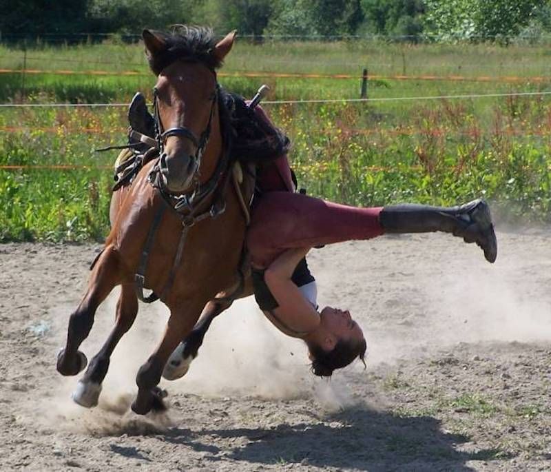 Gewoon een verzameling hilarische foto’s #964