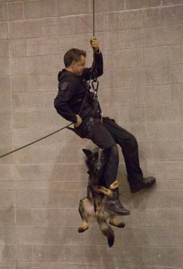 Gewoon een verzameling hilarische foto’s #1047