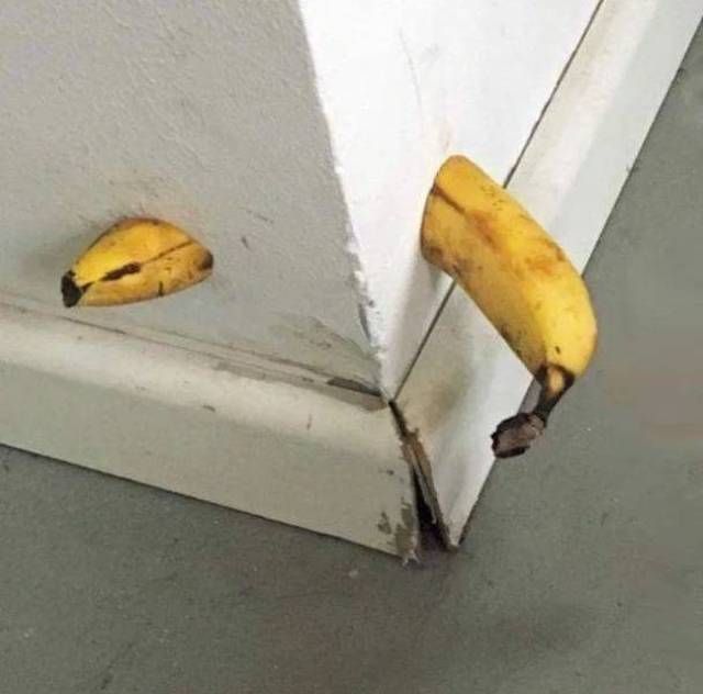 Gewoon een verzameling hilarische foto’s #1108
