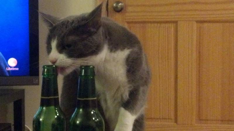 Gewoon een verzameling hilarische foto’s #1111
