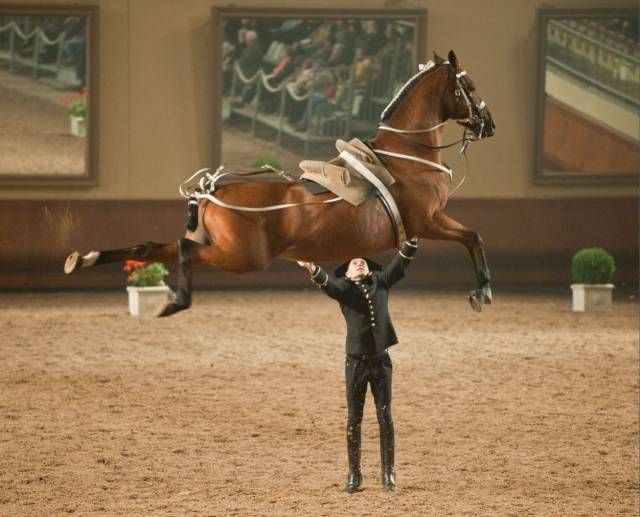 Gewoon een verzameling hilarische foto’s #1047