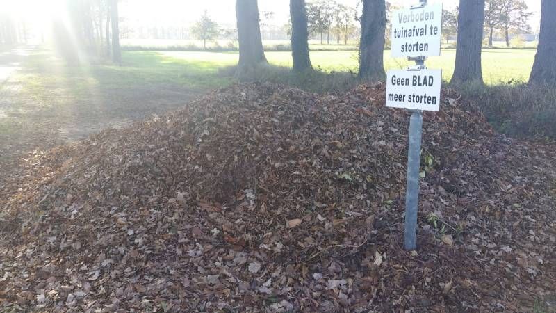 Gewoon een verzameling hilarische foto’s #1047