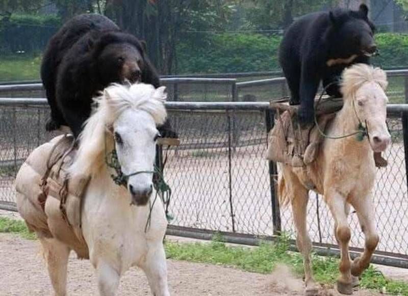 Gewoon een verzameling hilarische foto’s #947