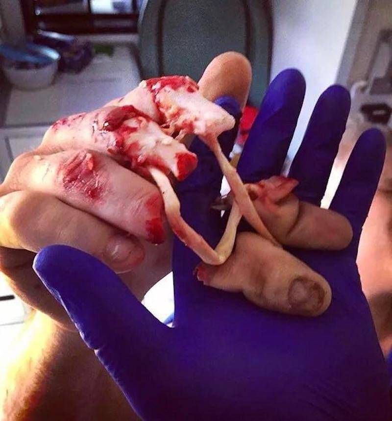 Gewoon een verzameling hilarische foto’s #1043