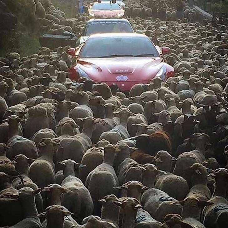Gewoon een verzameling hilarische foto's #705