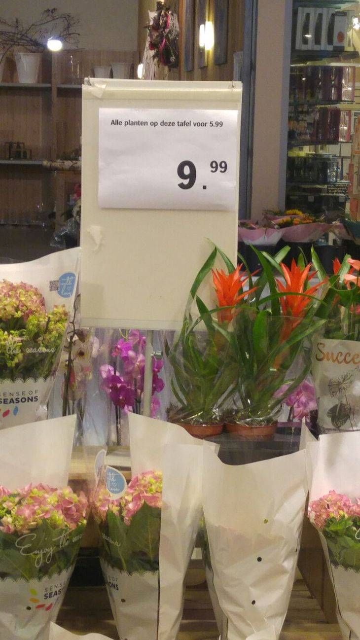 Gewoon een verzameling hilarische foto's #705