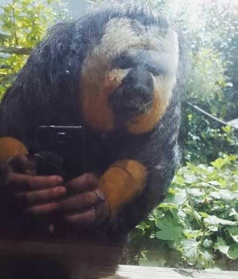 Gewoon een verzameling hilarische foto’s #964