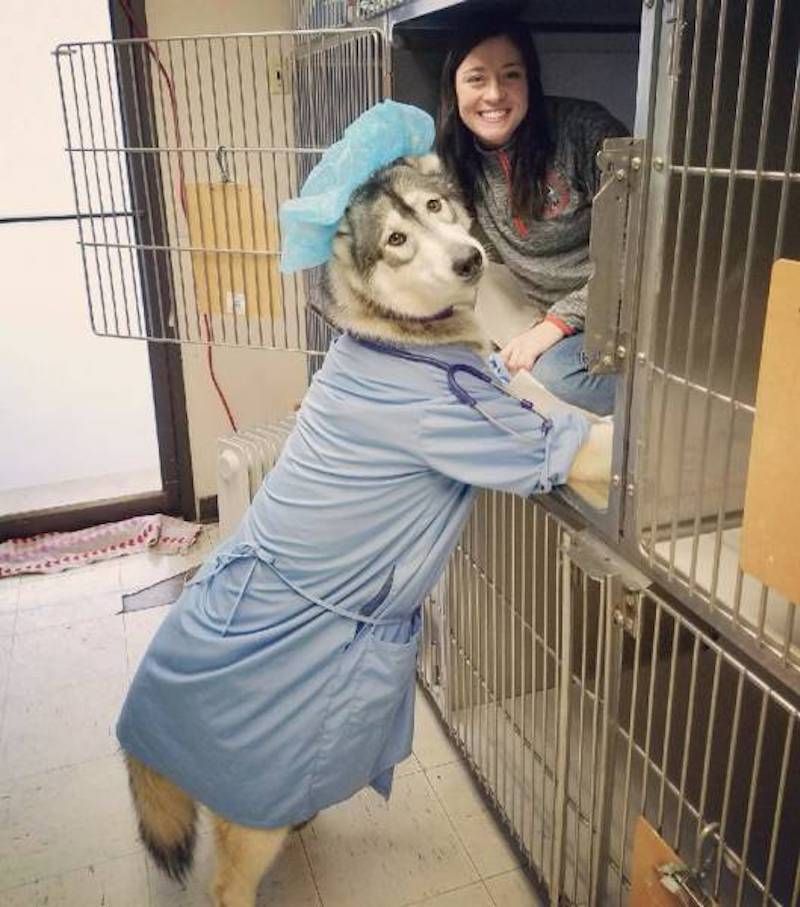 Gewoon een verzameling hilarische foto’s #950
