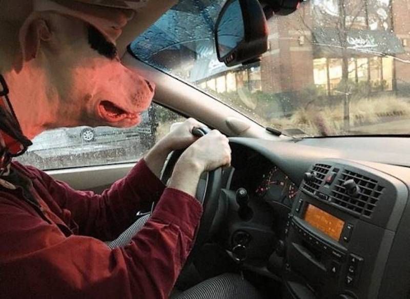 Gewoon een verzameling hilarische foto’s #964