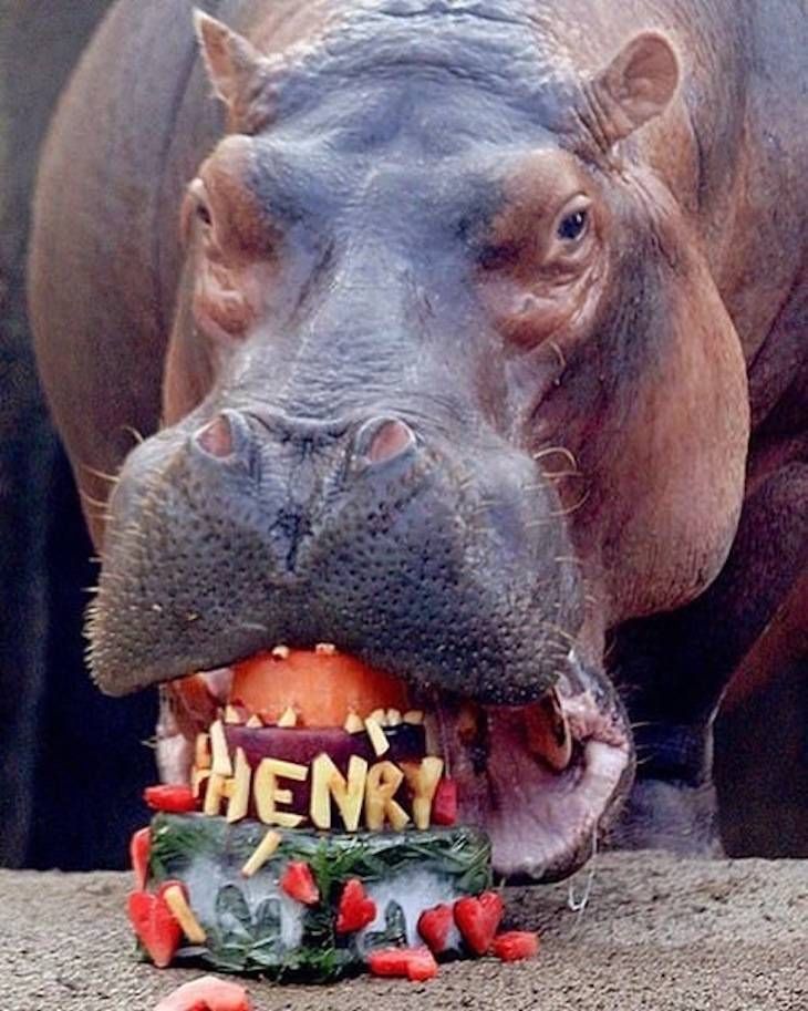 Gewoon een verzameling hilarische foto's #705