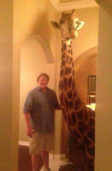 Gewoon een verzameling hilarische foto’s #792