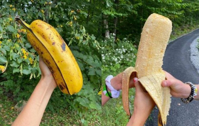 Gewoon een verzameling hilarische foto's #1492