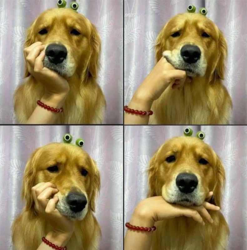 Gewoon een verzameling hilarische foto's #1492