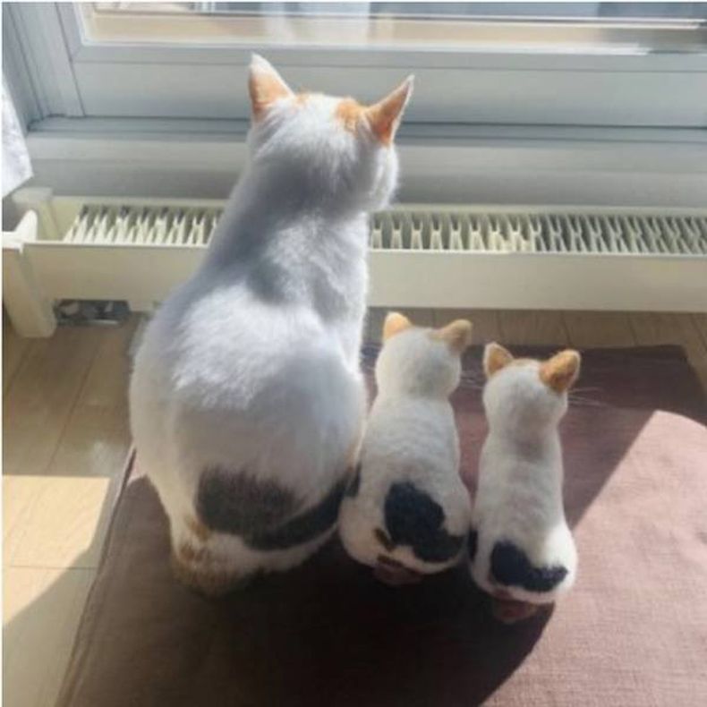 Gewoon een verzameling hilarische foto's #1491