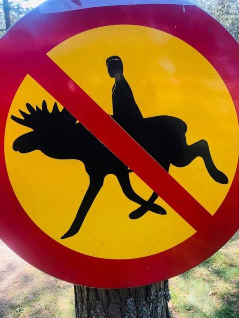 Gewoon een verzameling hilarische foto's #1492
